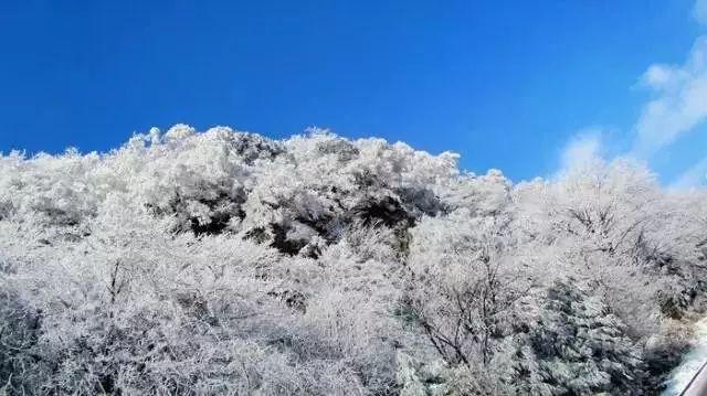福建省教育厅公示:拟向教育部申报设立福耀科技大学(暂名)